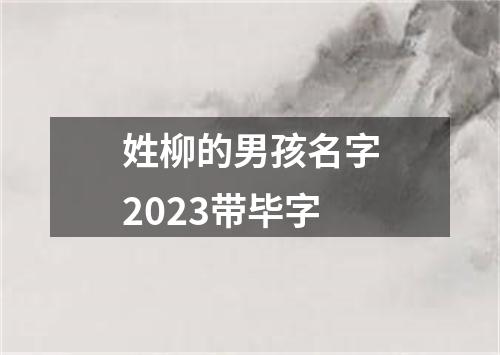 姓柳的男孩名字2023带毕字