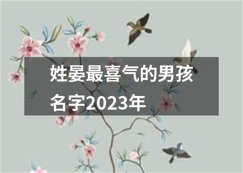 姓晏最喜气的男孩名字2023年