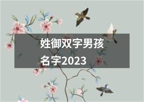 姓御双字男孩名字2023