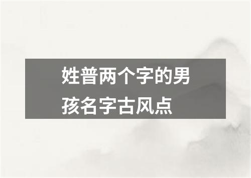 姓普两个字的男孩名字古风点