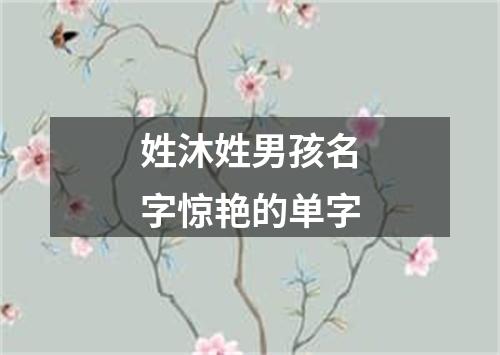 姓沐姓男孩名字惊艳的单字