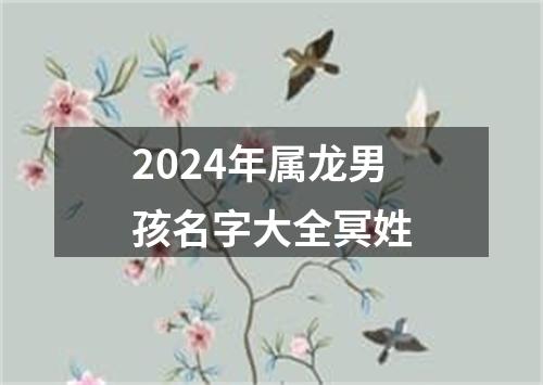 2024年属龙男孩名字大全冥姓