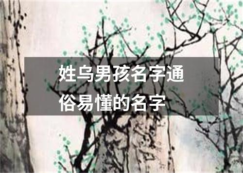 姓乌男孩名字通俗易懂的名字