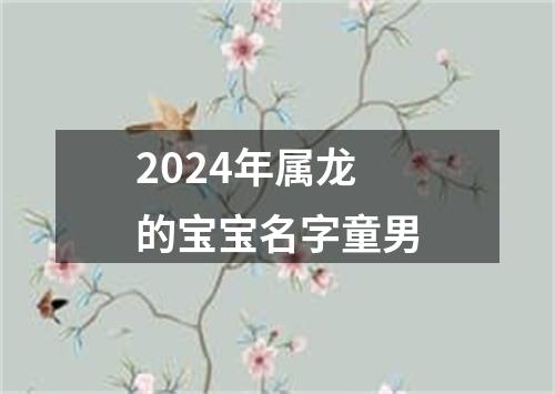 2024年属龙的宝宝名字童男