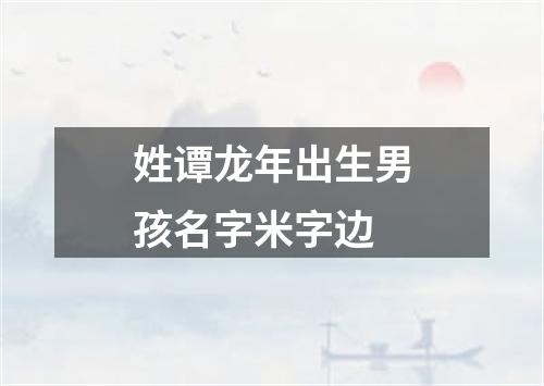 姓谭龙年出生男孩名字米字边