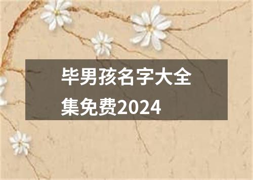 毕男孩名字大全集免费2024