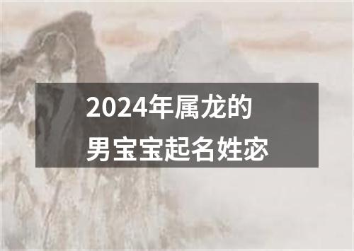 2024年属龙的男宝宝起名姓宓