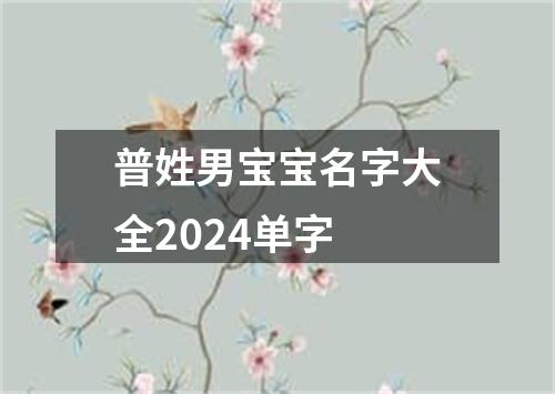 普姓男宝宝名字大全2024单字