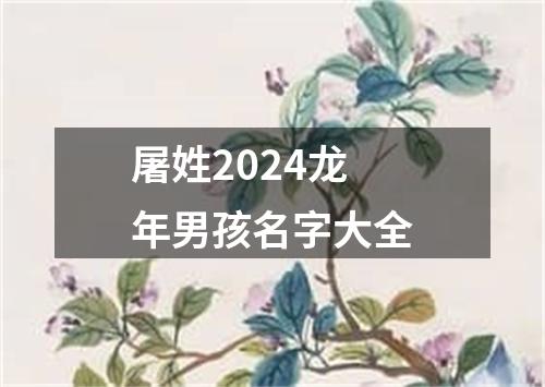 屠姓2024龙年男孩名字大全