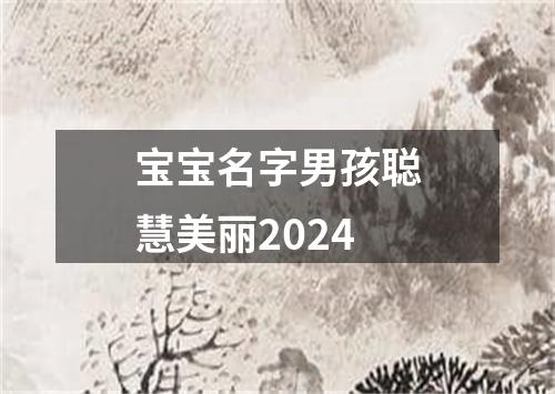 宝宝名字男孩聪慧美丽2024