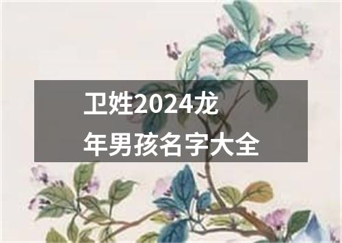 卫姓2024龙年男孩名字大全