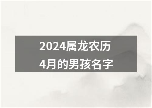 2024属龙农历4月的男孩名字