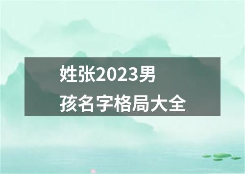 姓张2023男孩名字格局大全