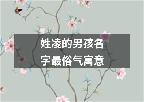 姓凌的男孩名字最俗气寓意