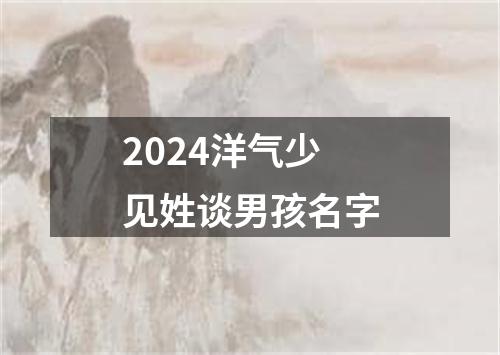 2024洋气少见姓谈男孩名字