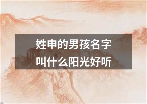 姓申的男孩名字叫什么阳光好听