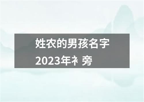 姓农的男孩名字2023年衤旁