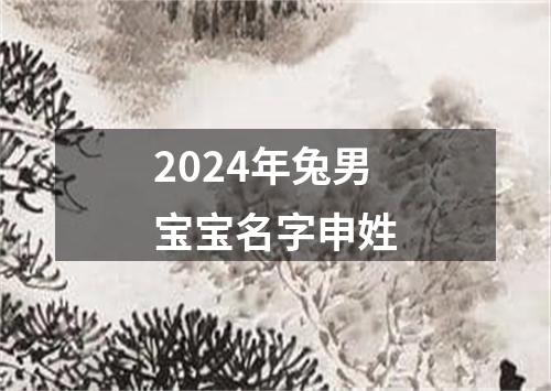 2024年兔男宝宝名字申姓