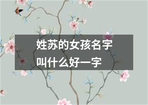 姓苏的女孩名字叫什么好一字