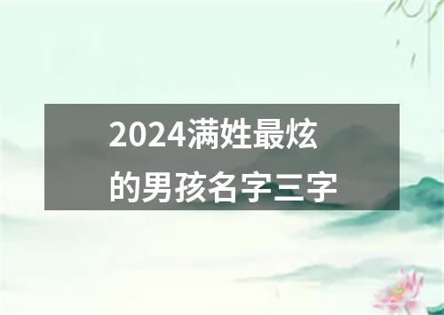 2024满姓最炫的男孩名字三字