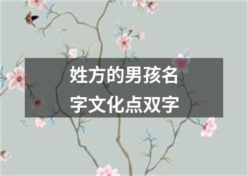 姓方的男孩名字文化点双字