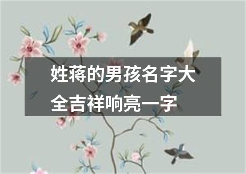 姓蒋的男孩名字大全吉祥响亮一字