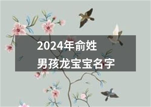 2024年俞姓男孩龙宝宝名字