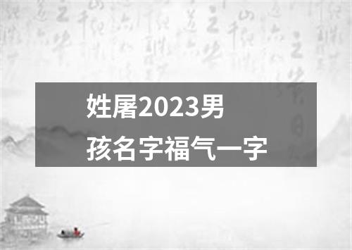 姓屠2023男孩名字福气一字