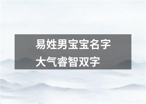 易姓男宝宝名字大气睿智双字