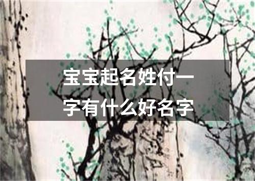 宝宝起名姓付一字有什么好名字