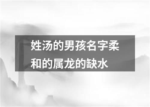 姓汤的男孩名字柔和的属龙的缺水