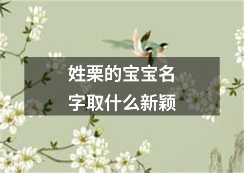 姓栗的宝宝名字取什么新颖