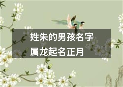 姓朱的男孩名字属龙起名正月