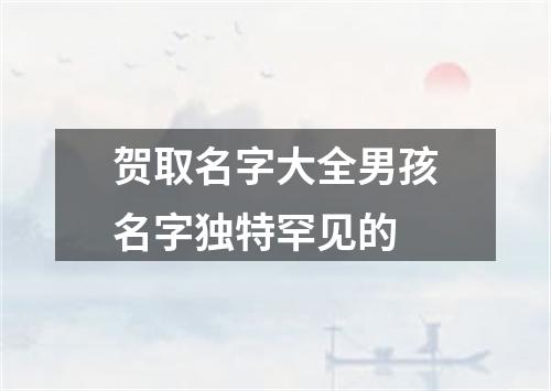 贺取名字大全男孩名字独特罕见的