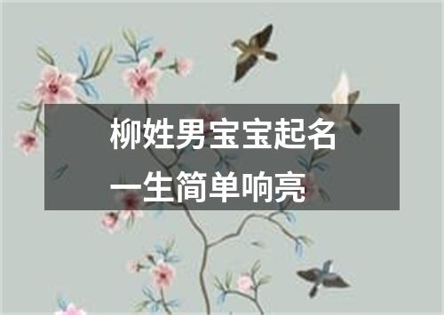 柳姓男宝宝起名一生简单响亮