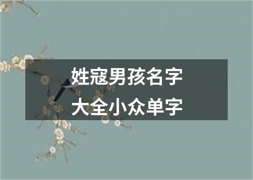 姓寇男孩名字大全小众单字