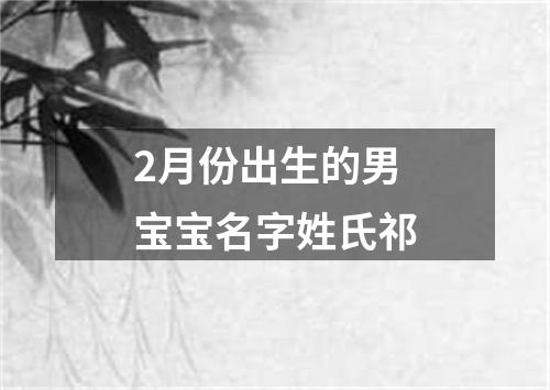 2月份出生的男宝宝名字姓氏祁