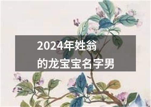 2024年姓翁的龙宝宝名字男