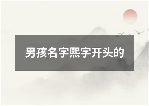 男孩名字熙字开头的