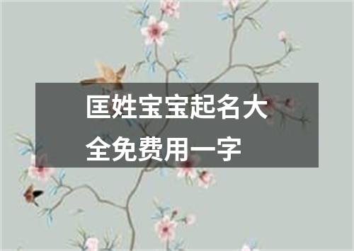 匡姓宝宝起名大全免费用一字