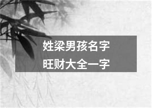 姓梁男孩名字旺财大全一字