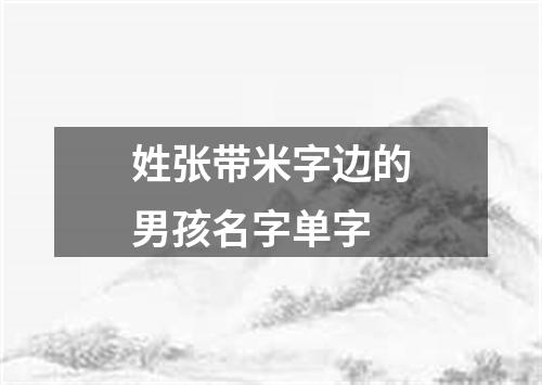 姓张带米字边的男孩名字单字