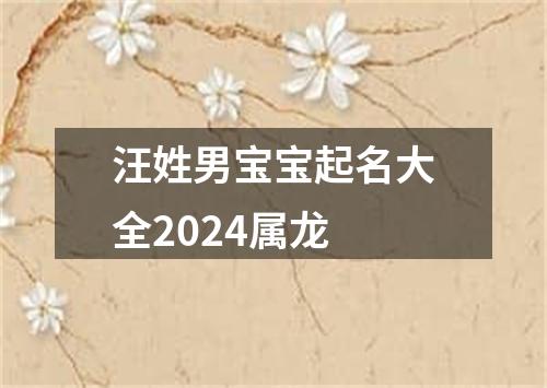 汪姓男宝宝起名大全2024属龙