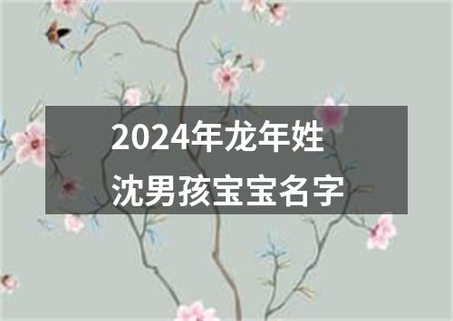 2024年龙年姓沈男孩宝宝名字