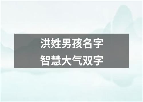 洪姓男孩名字智慧大气双字