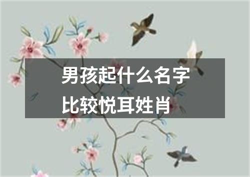 男孩起什么名字比较悦耳姓肖