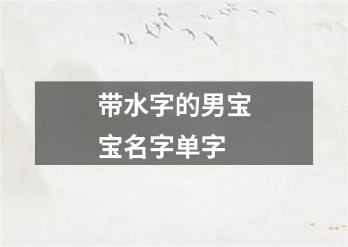 带水字的男宝宝名字单字