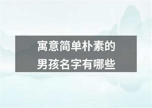 寓意简单朴素的男孩名字有哪些