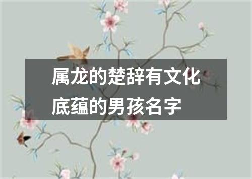 属龙的楚辞有文化底蕴的男孩名字