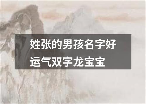 姓张的男孩名字好运气双字龙宝宝